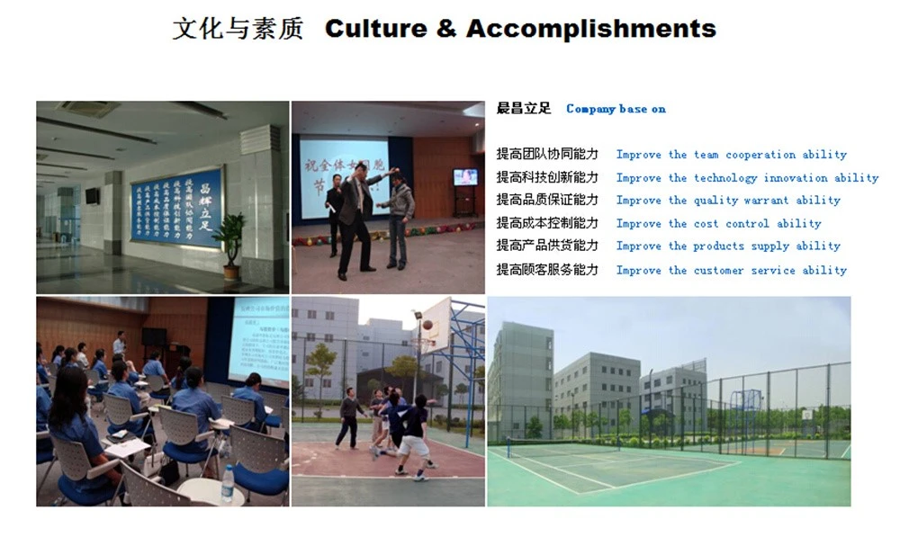 company culture